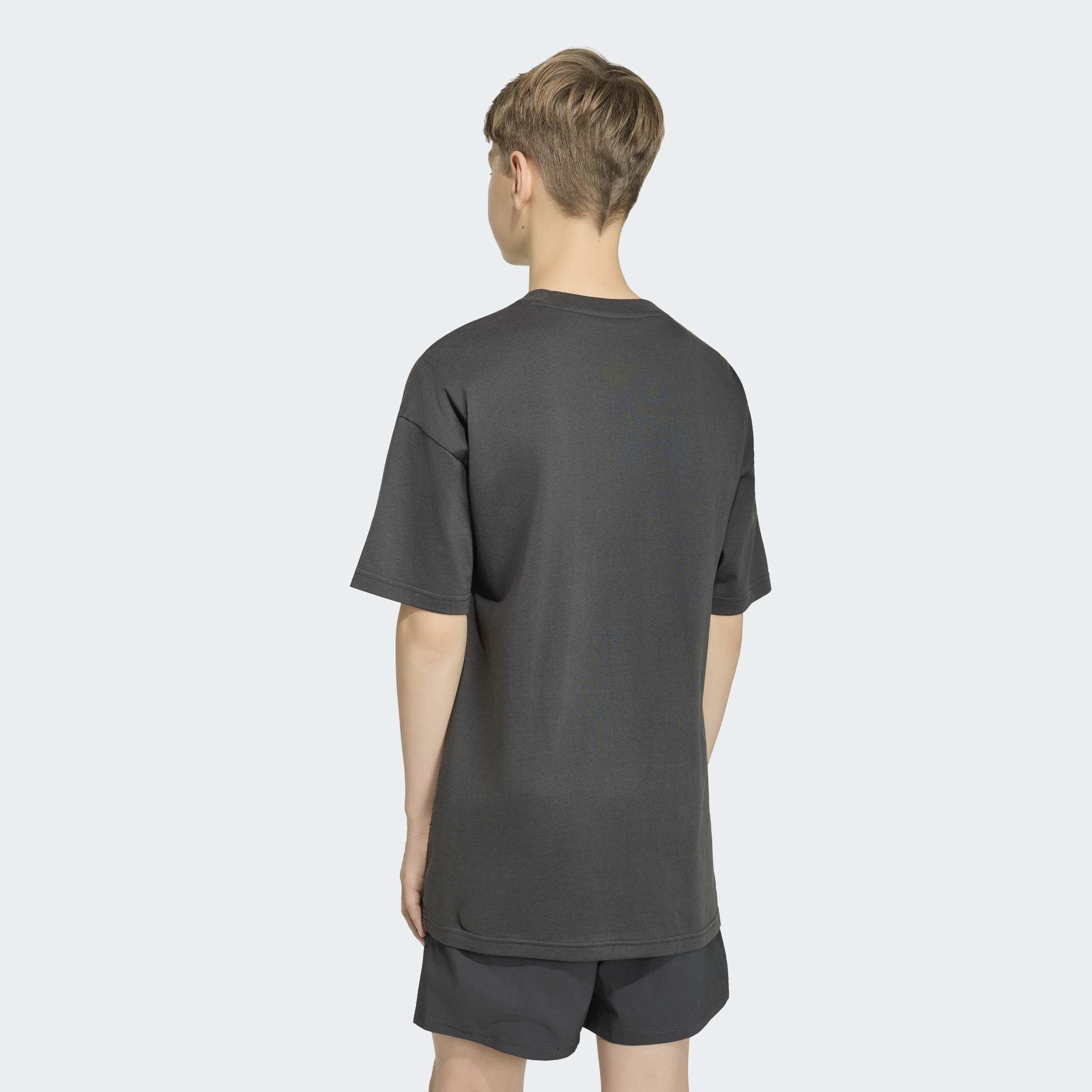 Kids Unisex Essentials T-Shirt, Grey, A701_ONE, large image number 2