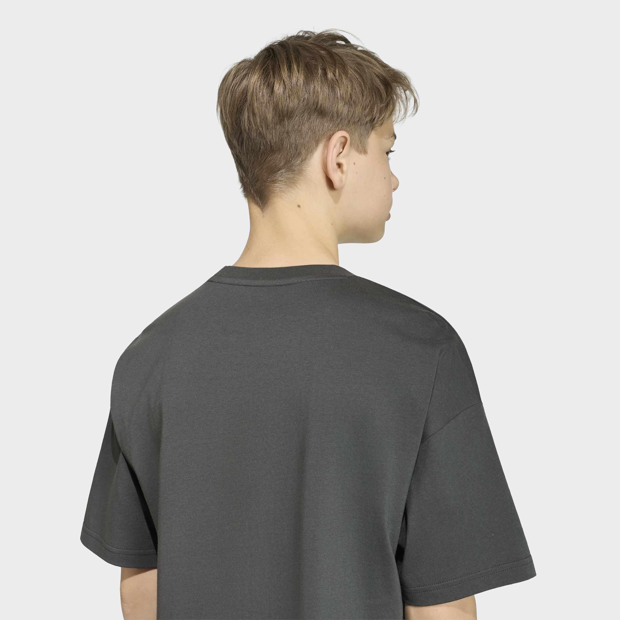 Kids Unisex Essentials T-Shirt, Grey, A701_ONE, large image number 4