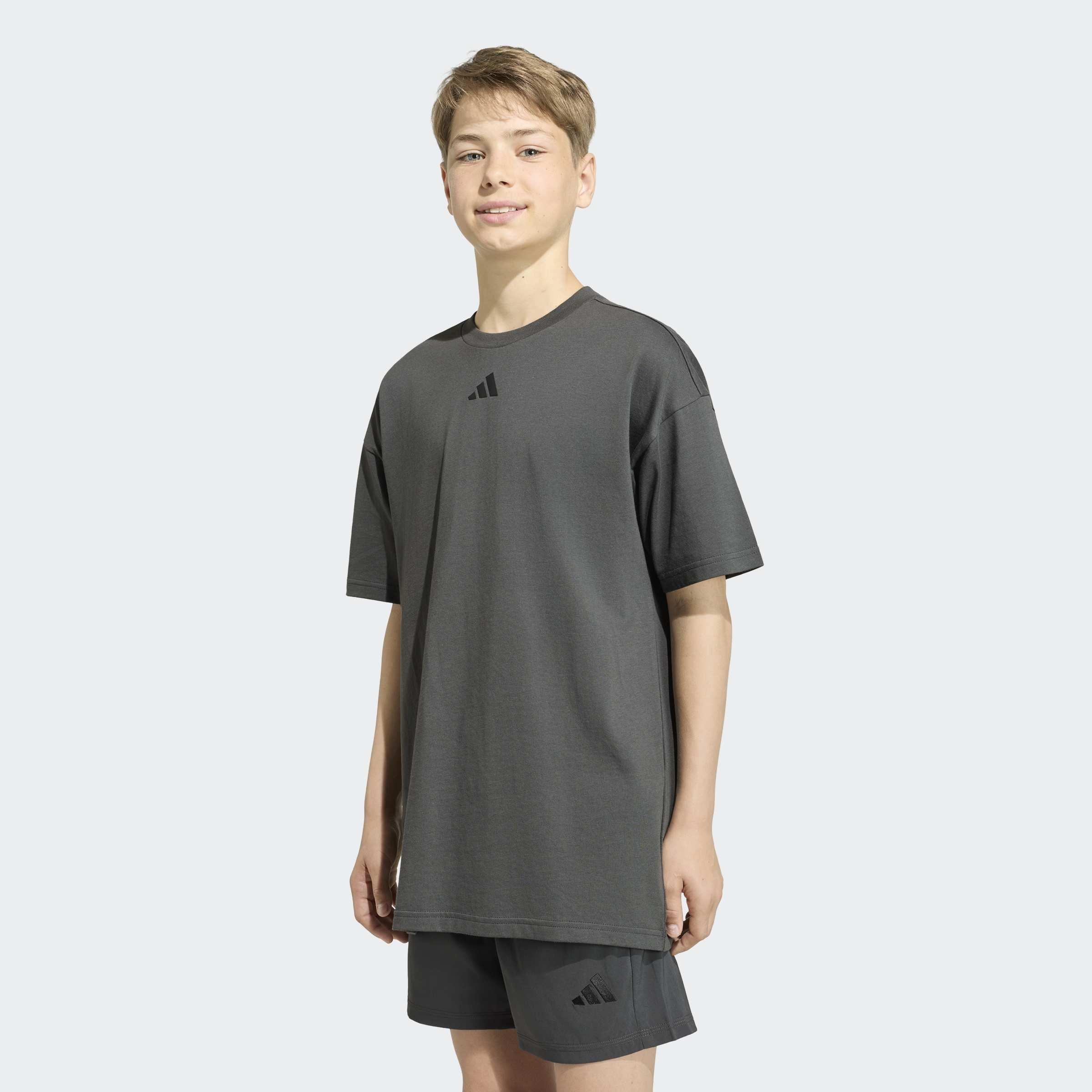 Kids Unisex Essentials T-Shirt, Grey, A701_ONE, large image number 6