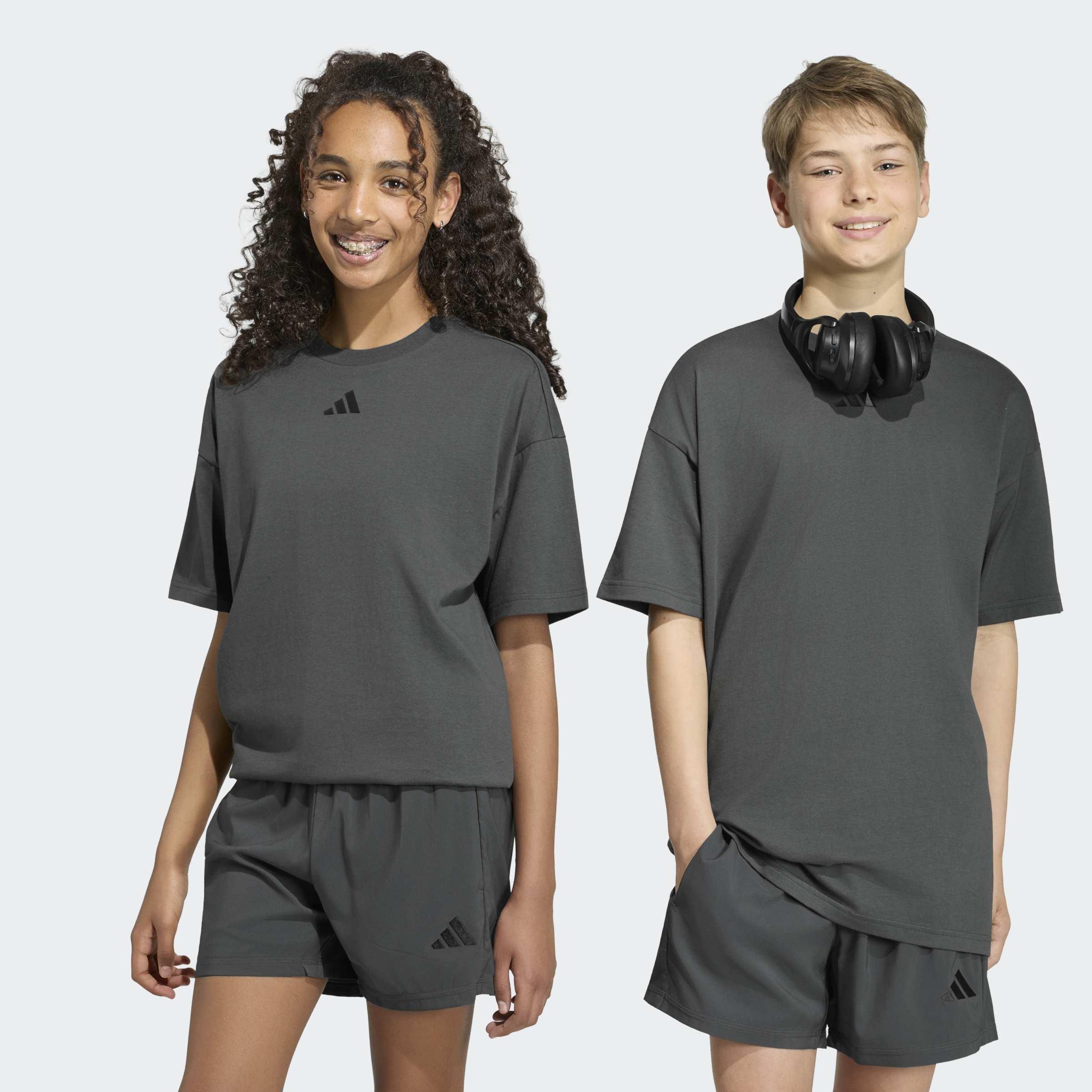 Kids Unisex Essentials T-Shirt, Grey, A701_ONE, large image number 7