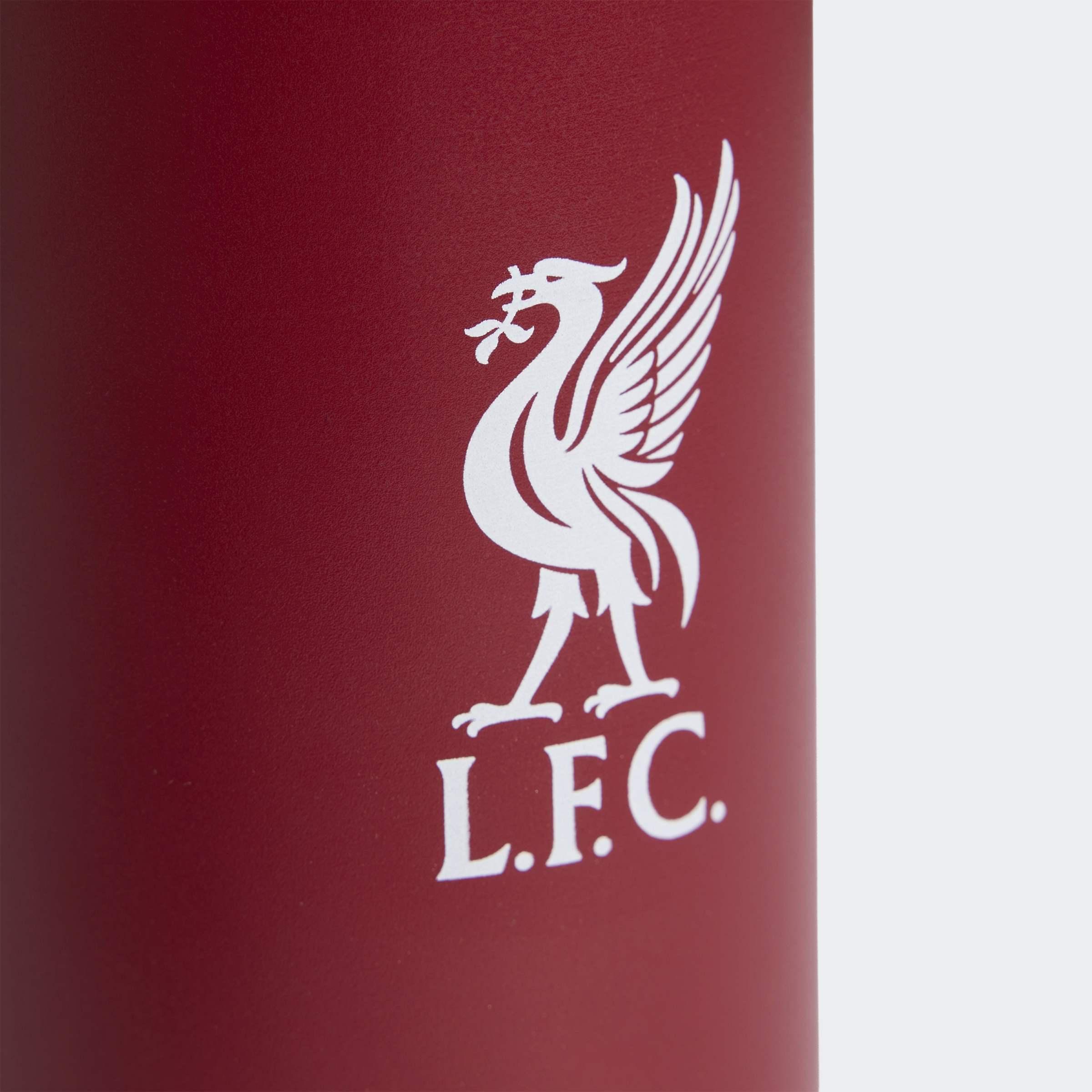 Unisex Liverpool Fc Metal Water Bottle, Burgundy, A701_ONE, large image number 2