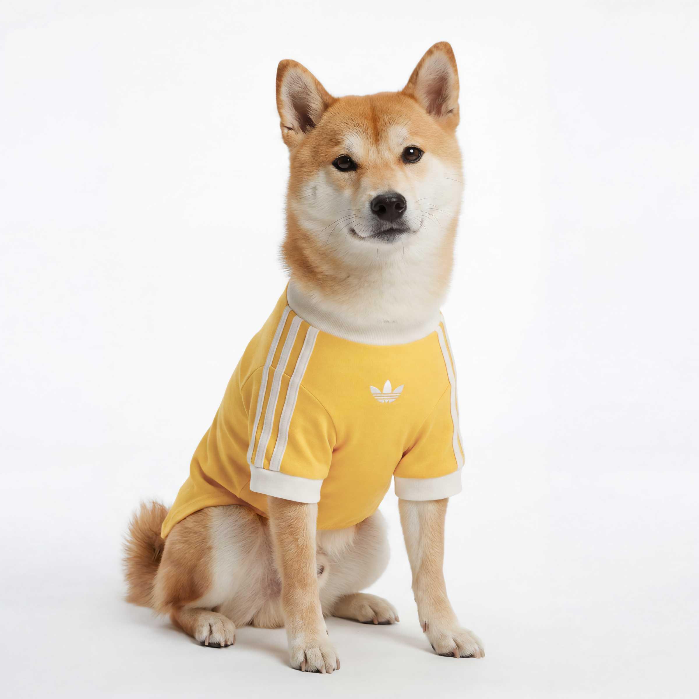 Unisex Pet Cali Tee, Yellow, A701_ONE, large image number 5