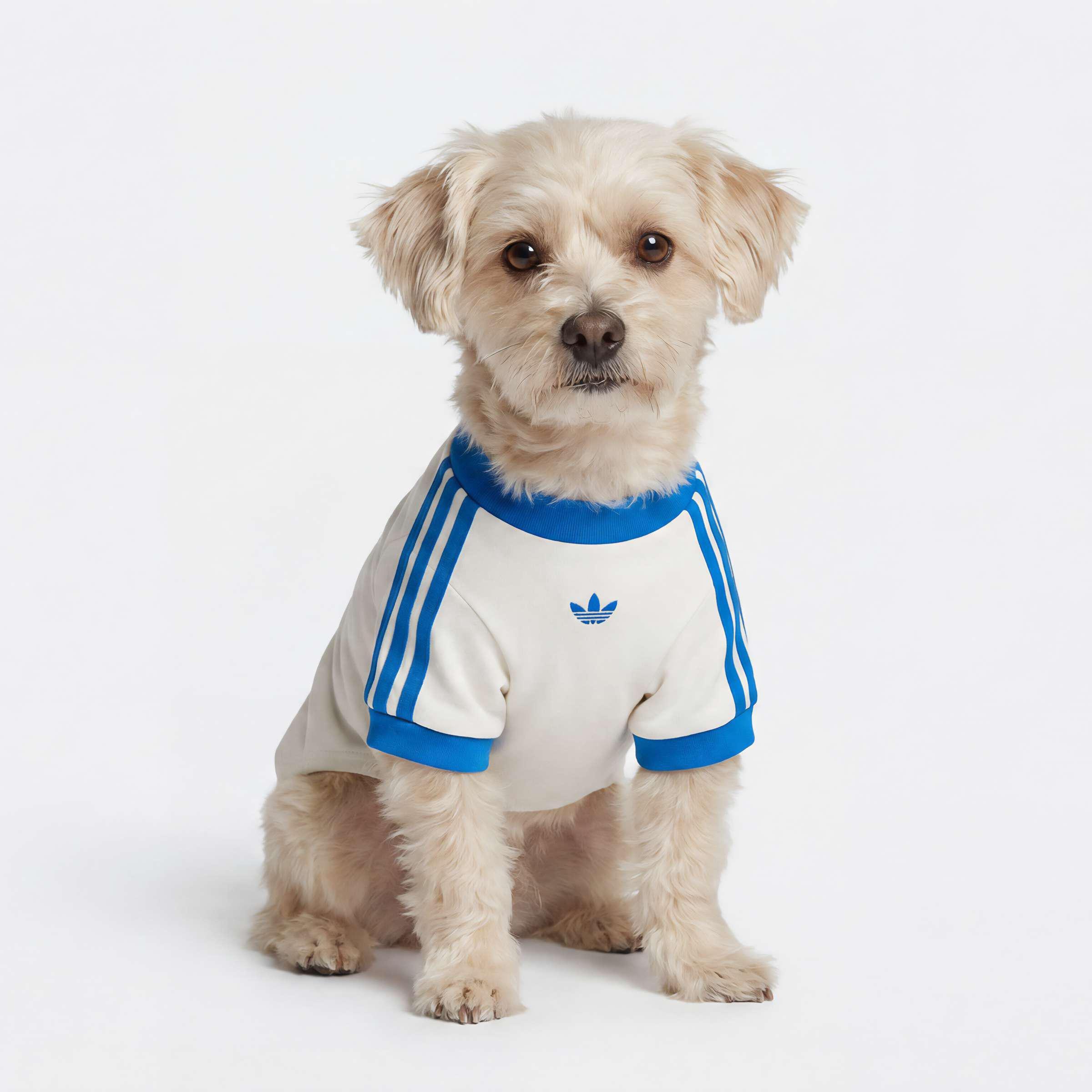 Unisex Pet Cali Tee, White, A701_ONE, large image number 3