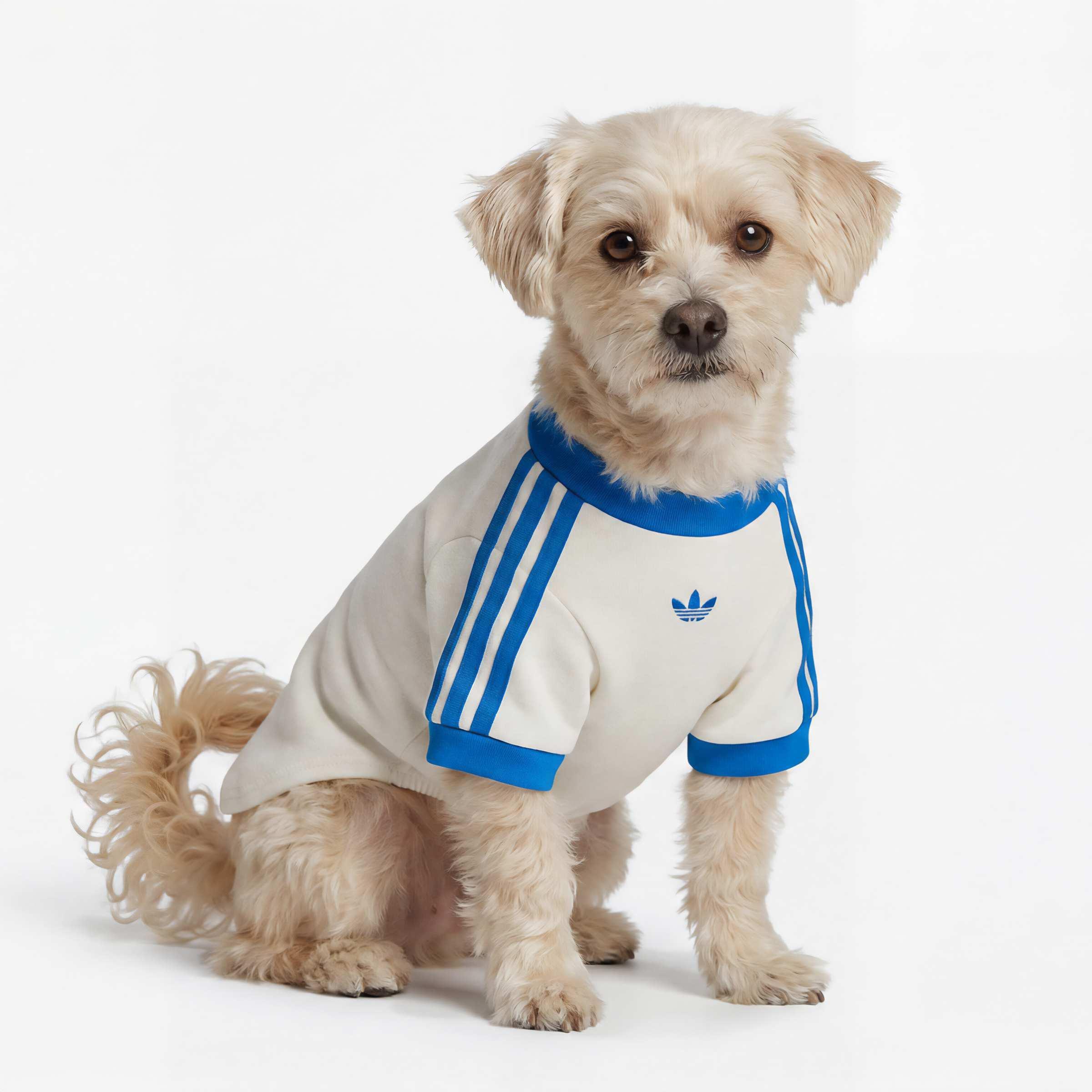 Unisex Pet Cali Tee, White, A701_ONE, large image number 8