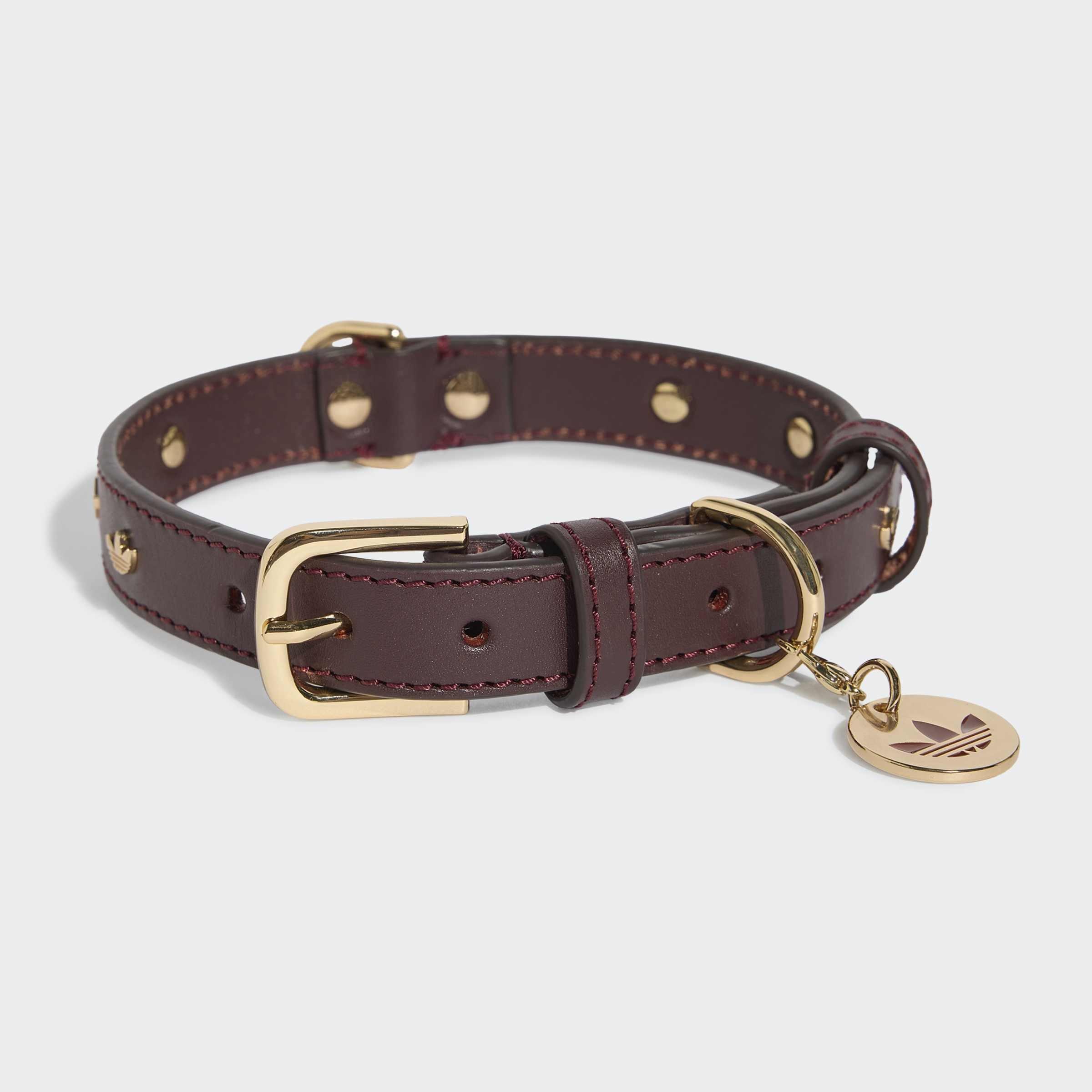 Unisex Pet Collar, Burgundy, A701_ONE, large image number 0
