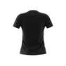 Women Essentials Linear T-Shirt, Black, A901_ONE, thumbnail image number 4