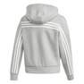 Kids Girls Must Haves 3-Stripes Hoodie, Grey, A901_ONE, thumbnail image number 1