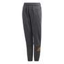 Kids Boys Id Hld Joggers, Grey, A901_ONE, thumbnail image number 0