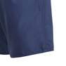 Kids Boys Classic Badge Of Sport Swim Shorts, Navy, A901_ONE, thumbnail image number 10