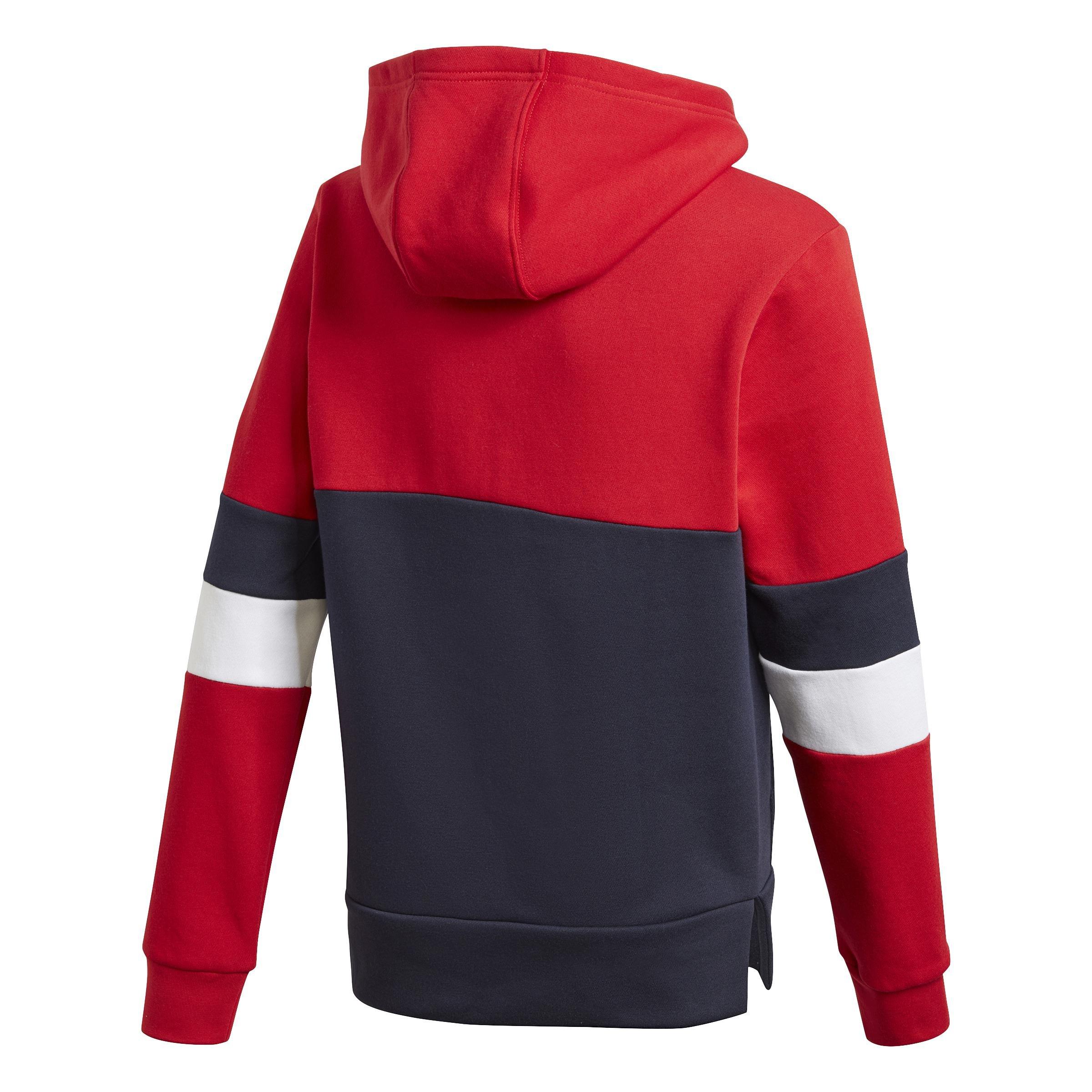 Kids Linear Colorblock Hooded Fleece Sweatshirt, Red, , large image number 1