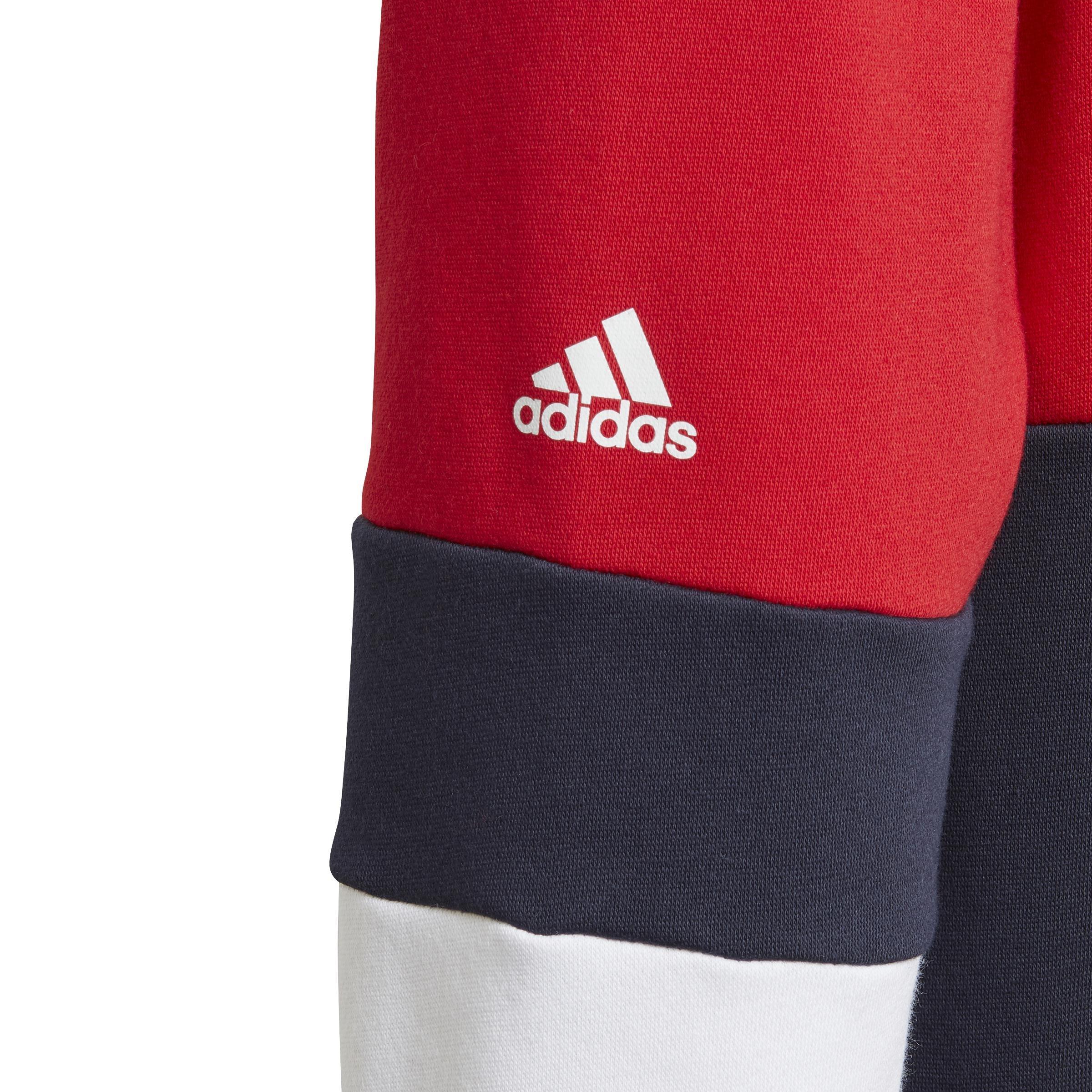 Kids Linear Colorblock Hooded Fleece Sweatshirt, Red, , large image number 2