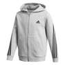 Kids Boys 3-Stripes Doubleknit Full-Zip Hoodie, Grey, A901_ONE, thumbnail image number 0