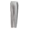Kids Boys 3-Stripes Doubleknit Tapered Leg Tracksuit Bottoms, Grey, A901_ONE, thumbnail image number 2