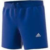 Kids Classic Badge Of Sport Swim Shorts, Blue, A901_ONE, large image number 13