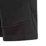 Kids Boys Badge Of Sport Shorts, Black, A901_ONE, thumbnail image number 5