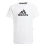 Kids Boys Kids Boys Logo T-Shirt, White, A901_ONE, large image number 24