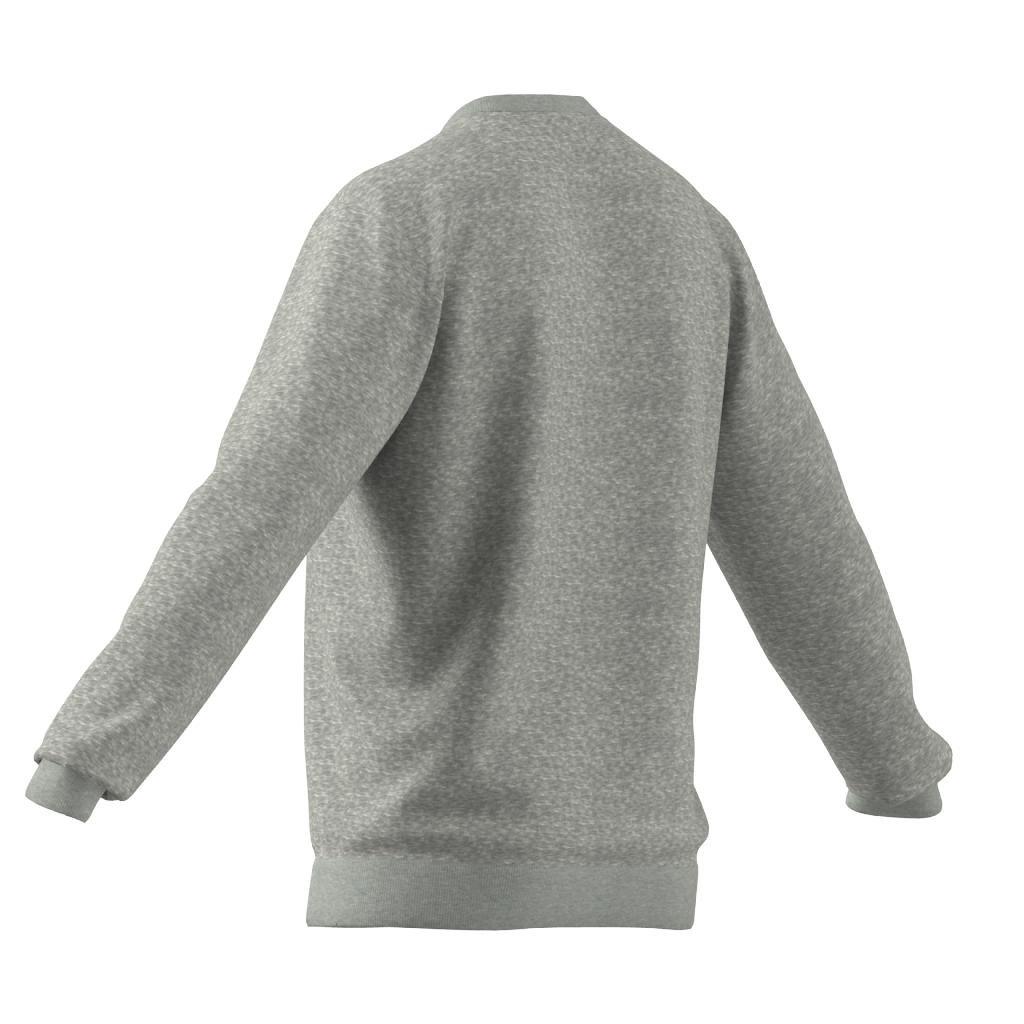 Big on sale grey sweatshirt