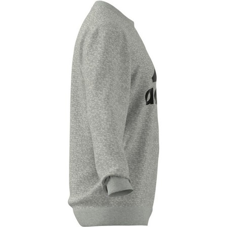 Men Essentials Big Logo Sweatshirt, Grey, A901_ONE, large image number 8