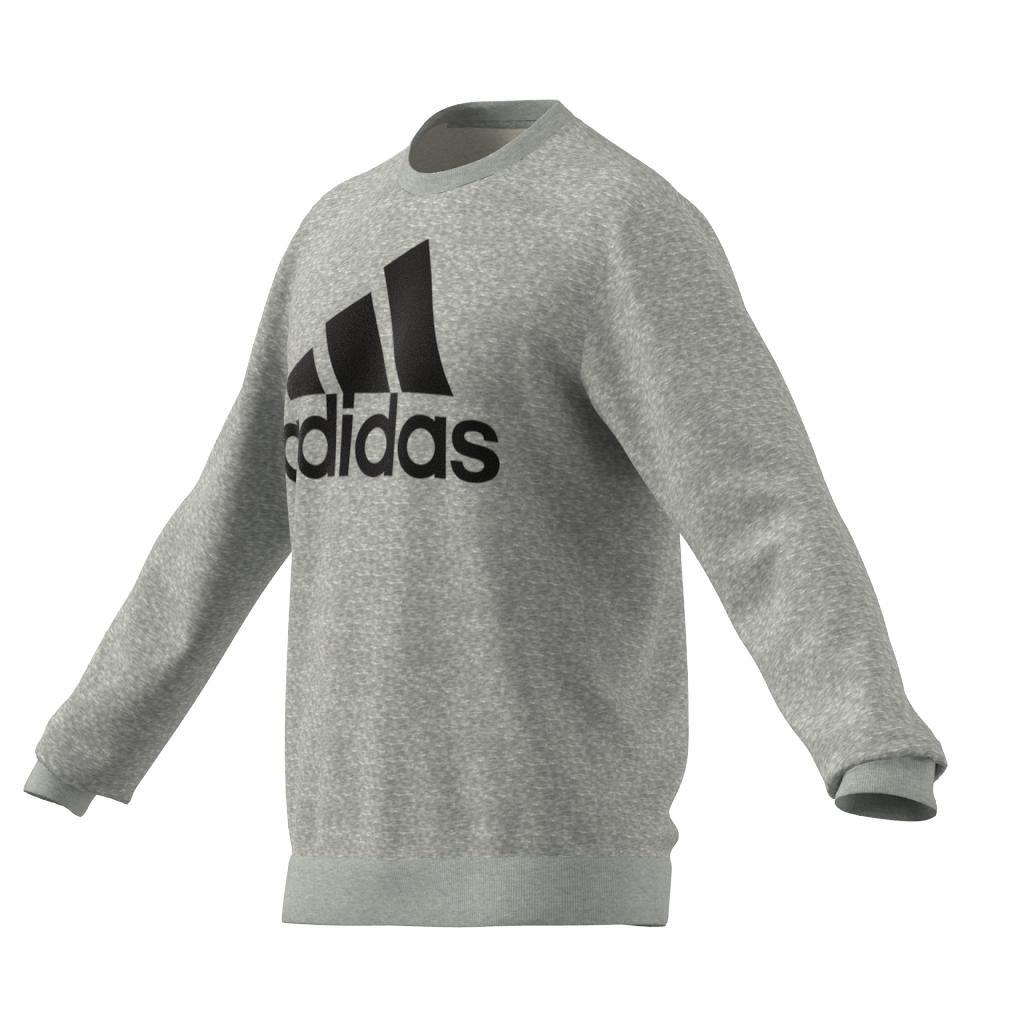 Essentials Big Logo Sweatshirt, Grey, A901_ONE, large image number 10