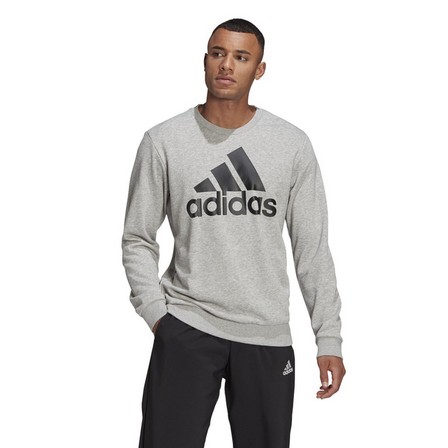Men Essentials Big Logo Sweatshirt, Grey, A901_ONE, large image number 12