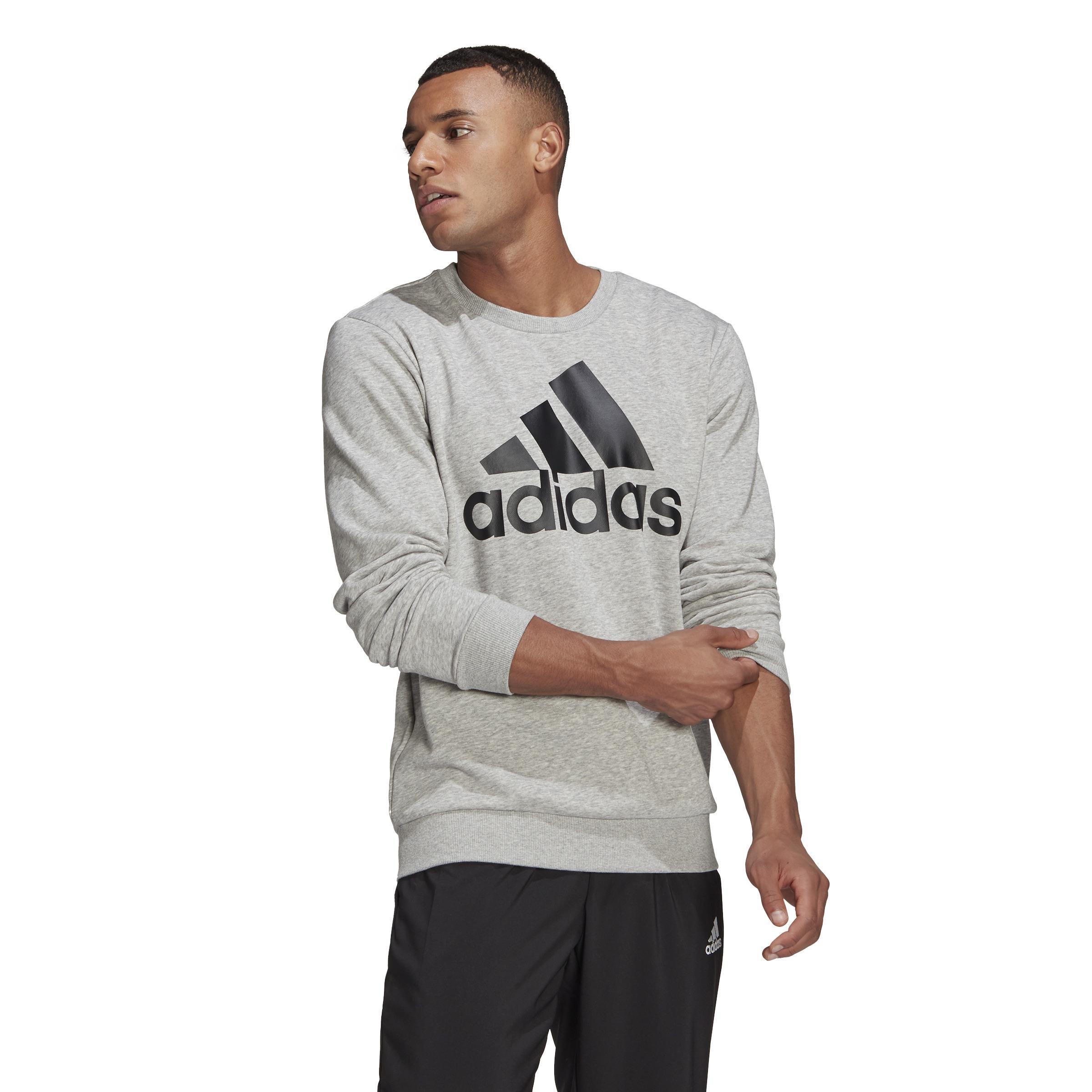 Essentials Big Logo Sweatshirt, Grey, A901_ONE, large image number 15