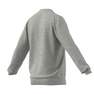 Men Essentials Big Logo Sweatshirt, Grey, A901_ONE, thumbnail image number 18