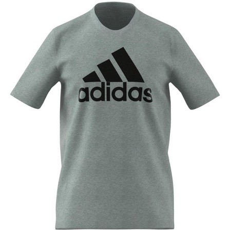 Men Essentials Big Logo T-Shirt, Grey, A901_ONE, large image number 16