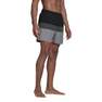 Men Short-Length Colorblock Swim Shorts, Black, A901_ONE, thumbnail image number 1