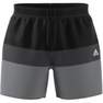 Men Short-Length Colorblock Swim Shorts, Black, A901_ONE, thumbnail image number 6