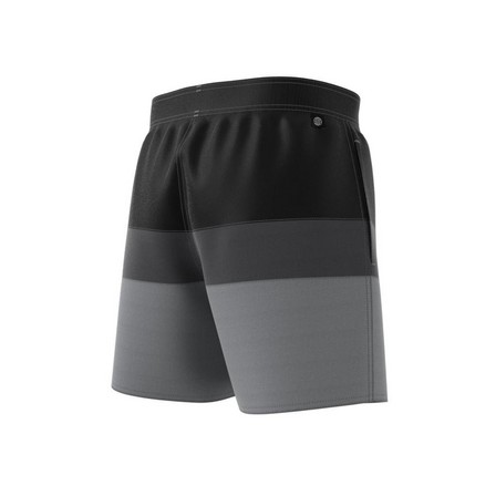 Men Short-Length Colorblock Swim Shorts, Black, A901_ONE, large image number 8