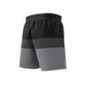 Men Short-Length Colorblock Swim Shorts, Black, A901_ONE, thumbnail image number 8