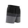 Men Short-Length Colorblock Swim Shorts, Black, A901_ONE, thumbnail image number 9