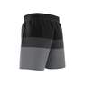 Men Short-Length Colorblock Swim Shorts, Black, A901_ONE, thumbnail image number 10