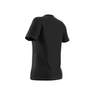 Women Adicolor Classics Trefoil T-Shirt, Black, A901_ONE, thumbnail image number 24