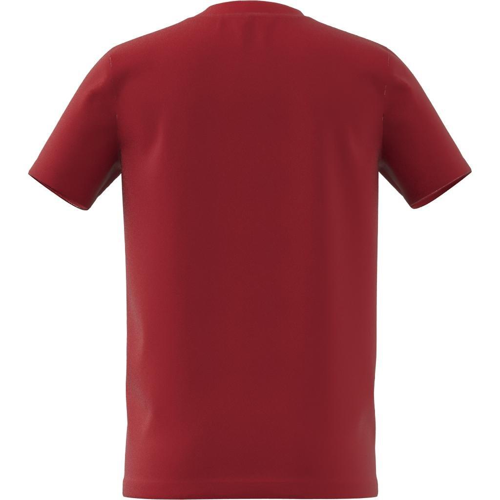 Kids Boys Essentials T-Shirt, Red, A901_ONE, large image number 7