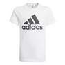 Kids Boys Essentials T-Shirt, White, A901_ONE, thumbnail image number 24