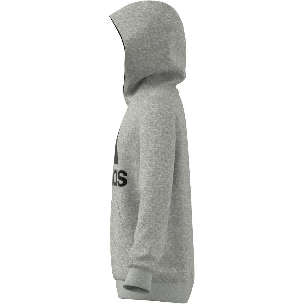Kids adidas Essentials Hoodie, Grey, , large image number 6