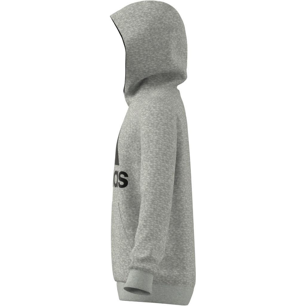 Essentials Hoodie, Grey, A901_ONE, large image number 6