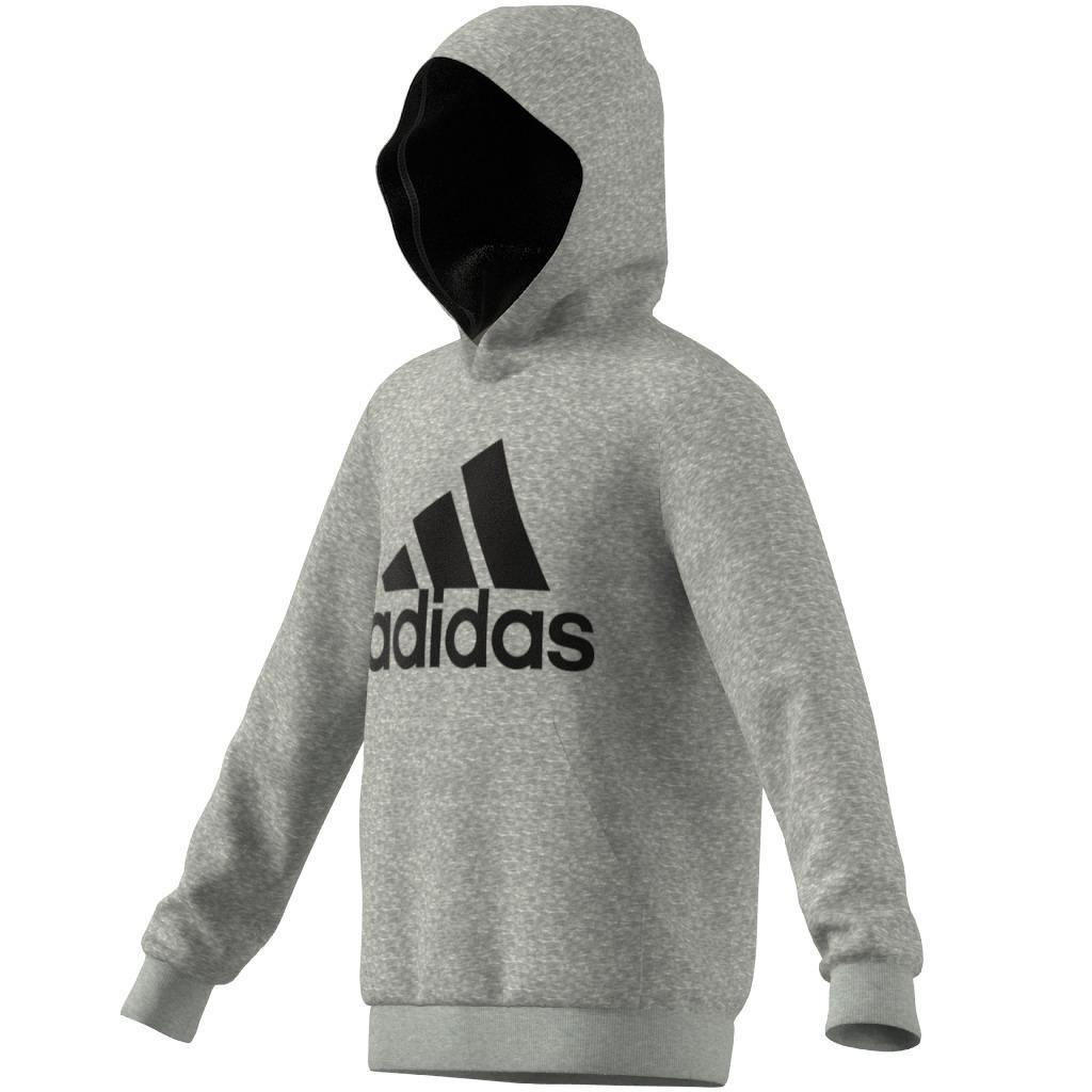Kids adidas Essentials Hoodie, Grey, , large image number 10
