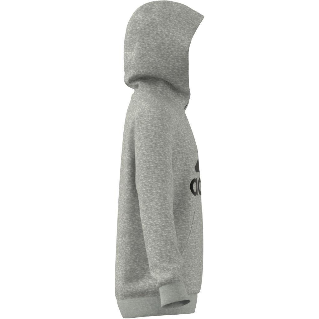 Kids adidas Essentials Hoodie, Grey, , large image number 11