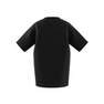 Kids  Adicolor Graphic T-Shirt, Black, A901_ONE, thumbnail image number 22