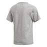 Kids  Adicolor Graphic T-Shirt, Grey, A901_ONE, thumbnail image number 7