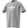 Kids Adicolor Graphic T-Shirt, Grey, A901_ONE, thumbnail image number 12