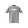 Kids Adicolor Graphic T-Shirt, Grey, A901_ONE, thumbnail image number 16