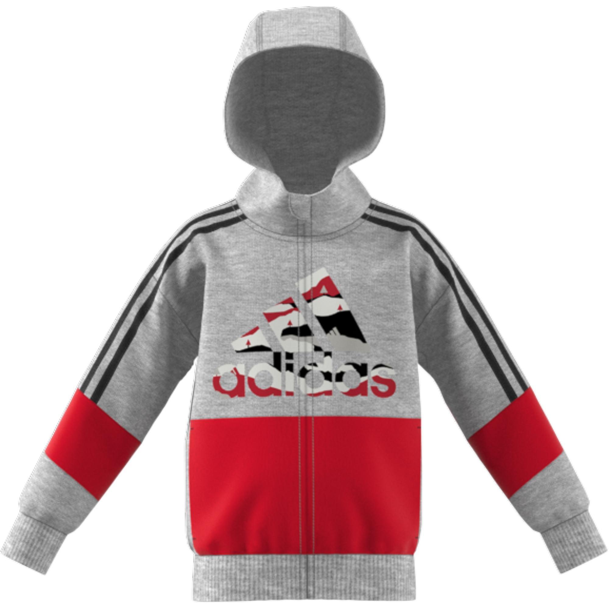 Kids French Terry Hoodie, Grey, A901_ONE, large image number 1