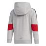 Kids Boys French Terry Hoodie, Grey, A901_ONE, thumbnail image number 2