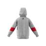 Kids Boys French Terry Hoodie, Grey, A901_ONE, thumbnail image number 9