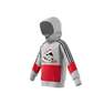 Kids Boys French Terry Hoodie, Grey, A901_ONE, thumbnail image number 14