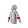 Kids Boys French Terry Hoodie, Grey, A901_ONE, thumbnail image number 16
