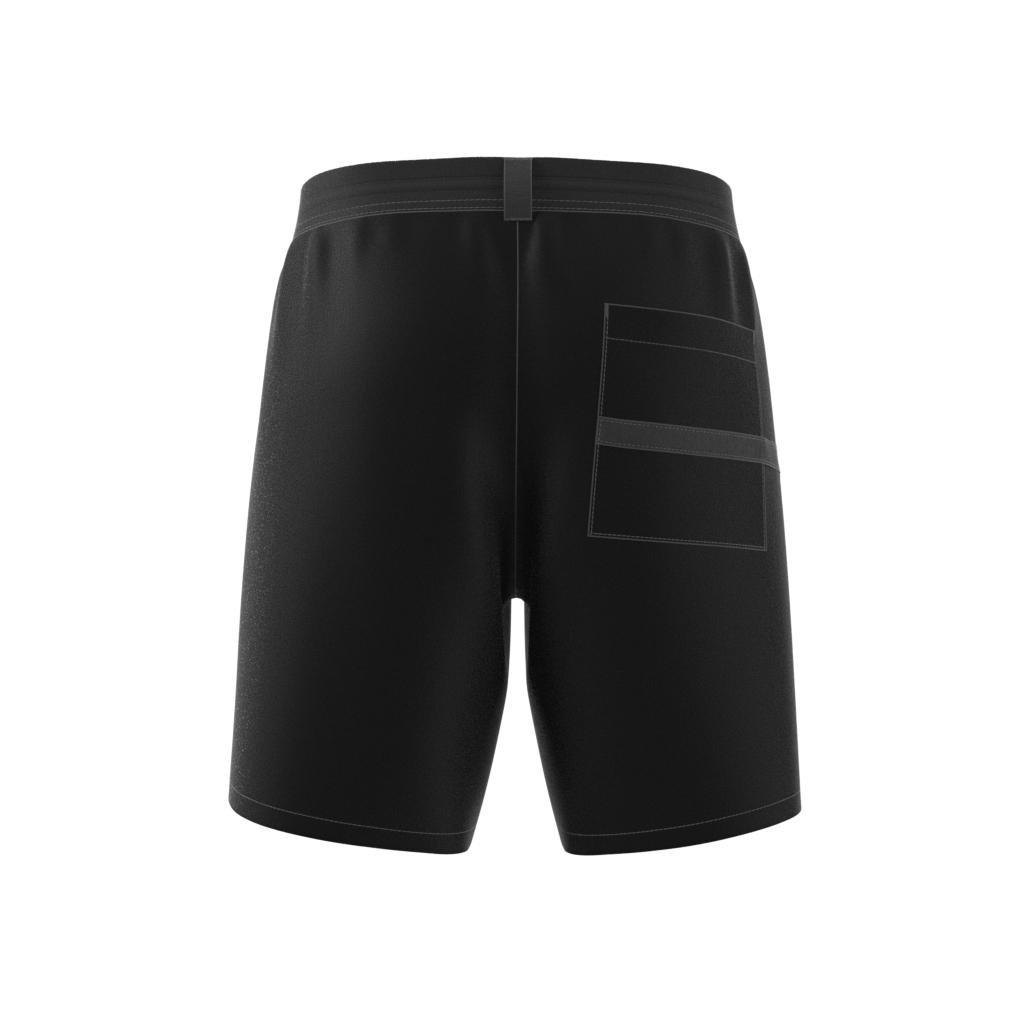 Terrex Liteflex Hiking Shorts, Black, , large image number 13
